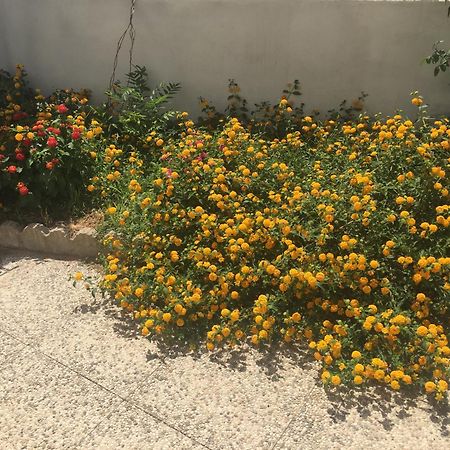 A Casa Di Zia Bed & Breakfast Oschiri Ngoại thất bức ảnh