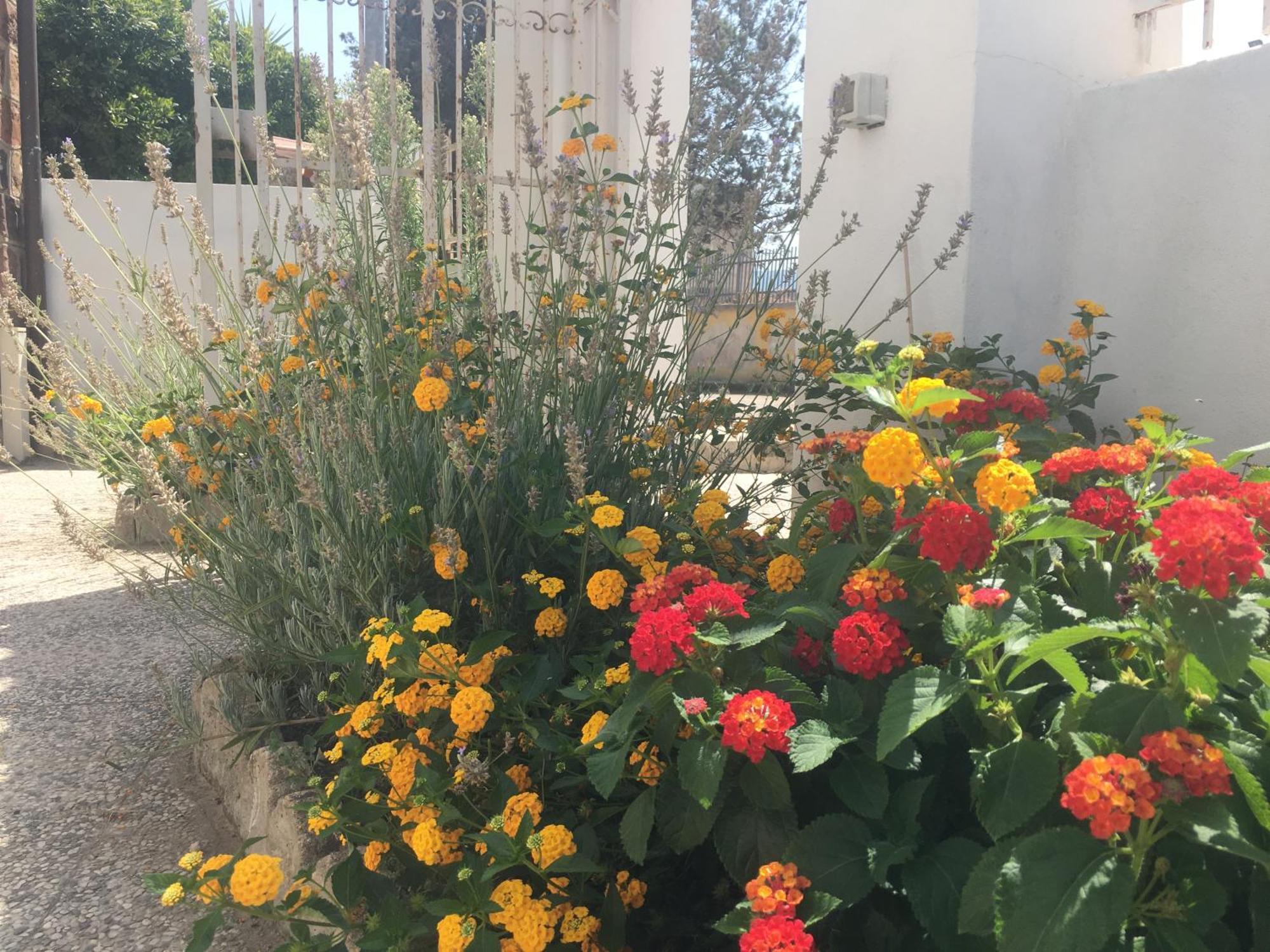 A Casa Di Zia Bed & Breakfast Oschiri Ngoại thất bức ảnh