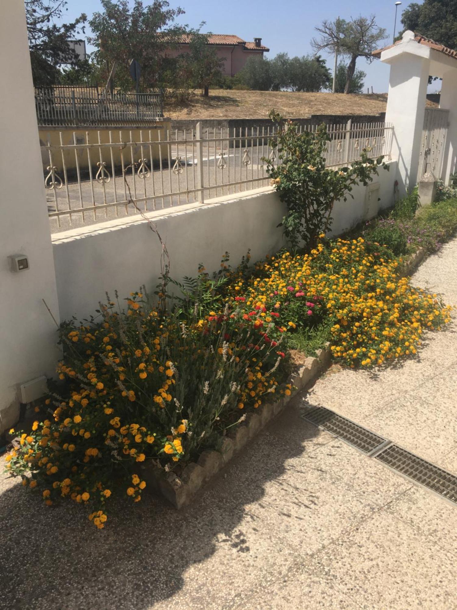 A Casa Di Zia Bed & Breakfast Oschiri Ngoại thất bức ảnh